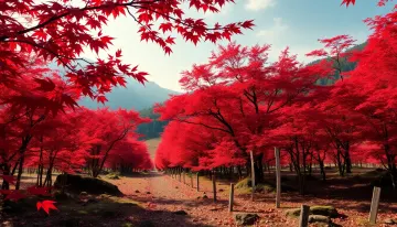 Crimson Blade Valley
