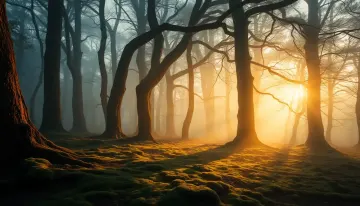 Whispers of the Forest