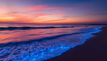 Glow Tide Beach unreal beach