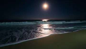 Moonlight Sand Path