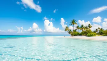 Paradise Horizon Beach