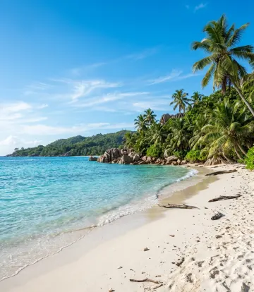 Turquoise Tranquility Tropical Beach 4K Wallpaper