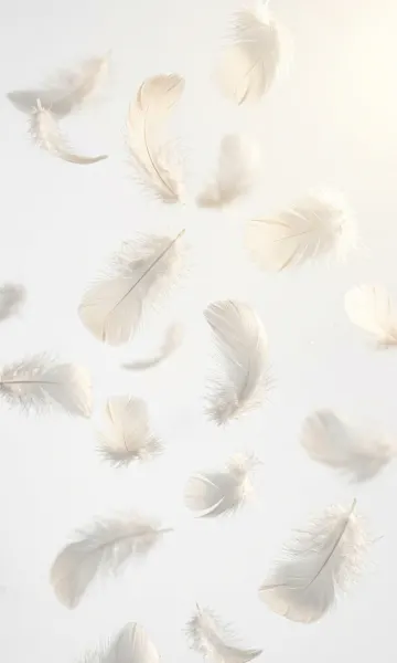 Floating White Feathers 4K Wallpaper – Pure Luxury Minimalist Background