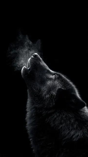 Smoke Wolf - Dark Wolf with Breath Smoke 4k