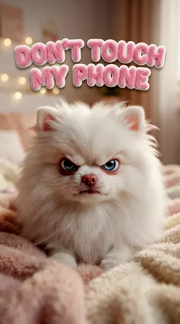 Cute Angry Pomeranian "Don't Touch My Phone" Wallpaper 4K 