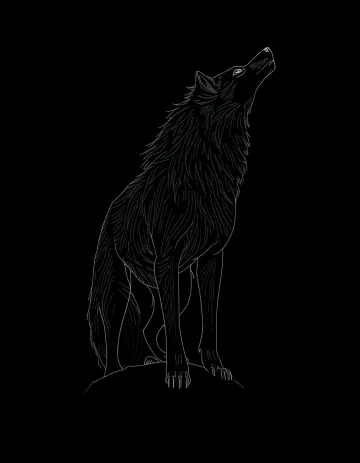 Black wolf
