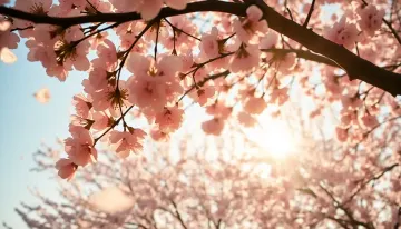Golden Sakura Breeze