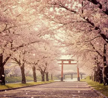 sakura-rain-cherry-blossom-path-torii-gate-dreamy-japan